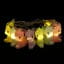 Dhink Mixed Coloured Pastel Jumping Deer LED String Lights With 10 Lights