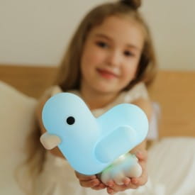 Canar Duck & Heart Soft Pastel Blue LED Mood Light