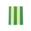 Helio Ferretti | Always Today A5 Notebook | Green & Yellow Stripe