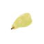 Helio Ferretti | Hair Clip | Pear