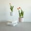 Helio Ferretti | Planter with Metal Stand | White