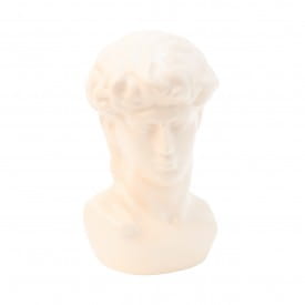 Helio Ferretti | Michelangelo's David Bust Statue | Angel White