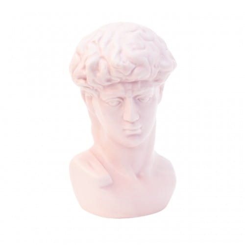 Helio Ferretti | Michelangelo's David Bust Statue | Angel Pink