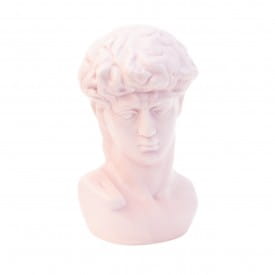 Helio Ferretti | Michelangelo's David Bust Statue | Angel Pink